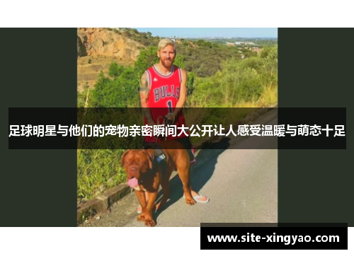 足球明星与他们的宠物亲密瞬间大公开让人感受温暖与萌态十足