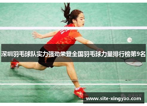 深圳羽毛球队实力强劲荣登全国羽毛球力量排行榜第9名