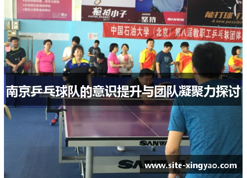 南京乒乓球队的意识提升与团队凝聚力探讨