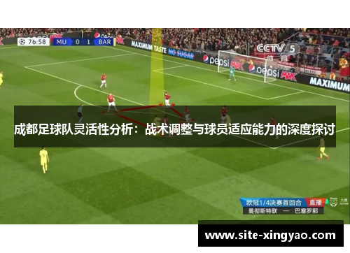 成都足球队灵活性分析：战术调整与球员适应能力的深度探讨