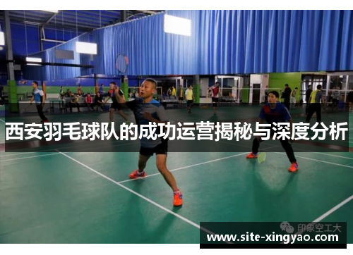 西安羽毛球队的成功运营揭秘与深度分析