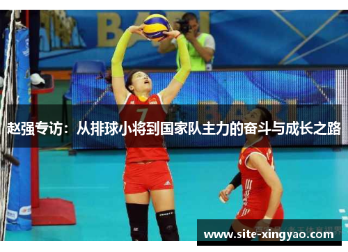 赵强专访：从排球小将到国家队主力的奋斗与成长之路