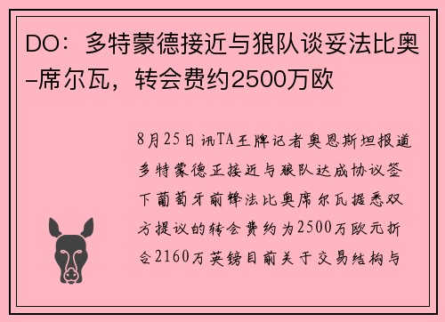 DO：多特蒙德接近与狼队谈妥法比奥-席尔瓦，转会费约2500万欧